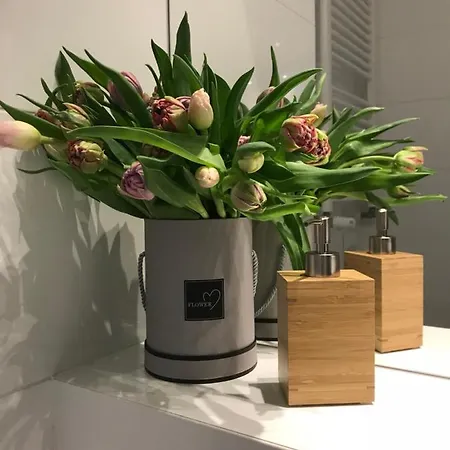 Happy-cieplice Jelenia Góra