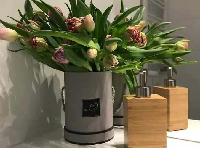 Happy-cieplice Jelenia Góra